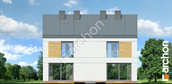 Дворовой фасад Дом в тунбергиях (Р2)