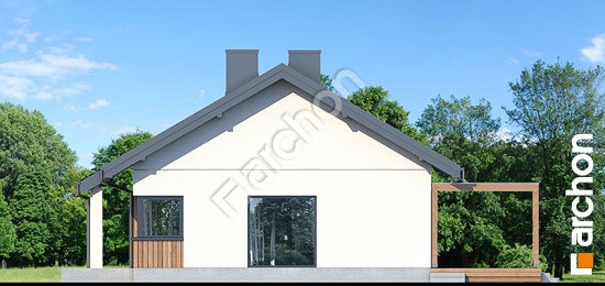 Боковой фасад Дом в лещиновнике 6