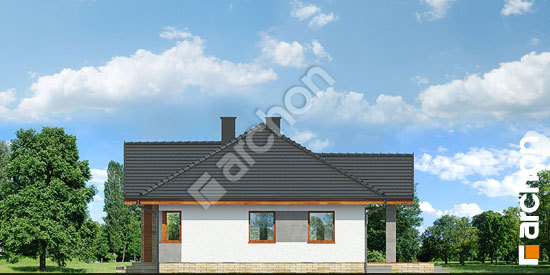 Боковой фасад Дом в лещиновнике 5