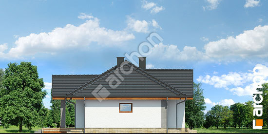 Боковой фасад Дом в лещиновнике 5