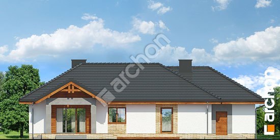 Дворовой фасад Дом в лещиновнике 5