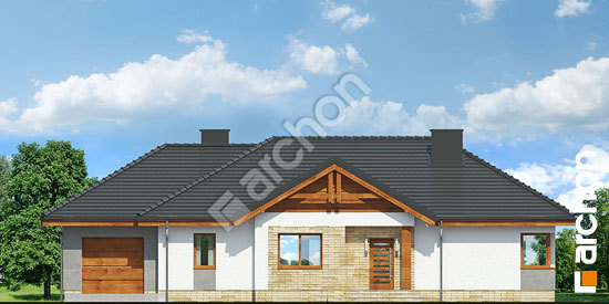 Передний фасад Дом в лещиновнике 5