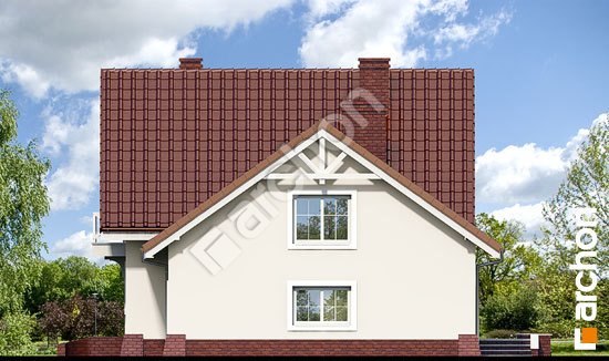 Бочний фасад Будинок в тамариску 6 вер.2