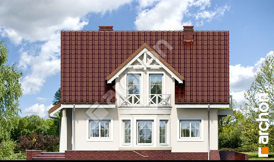 Бочний фасад Будинок в тамариску 6 вер.2