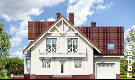 Передний фасад Дом в тамарисках 6 вер.2