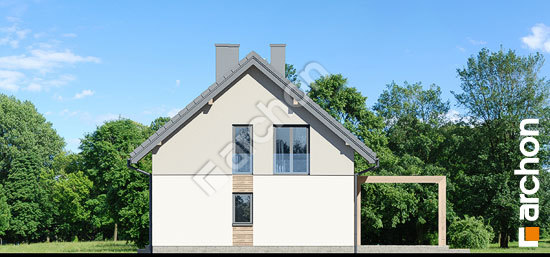 Боковой фасад Дом в силене