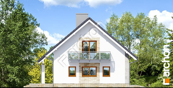 Боковой фасад Дом в джонатанах