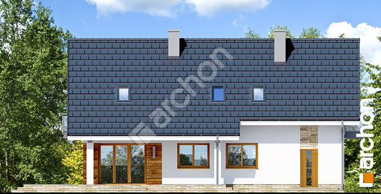 Дворовой фасад Дом в джонатанах