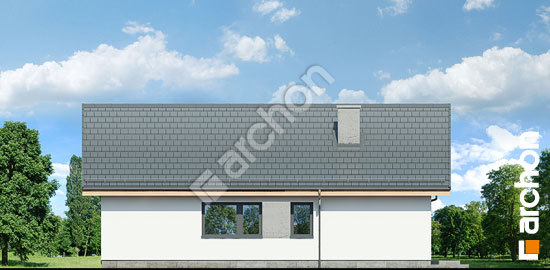 Бочний фасад Будинок в мажанках