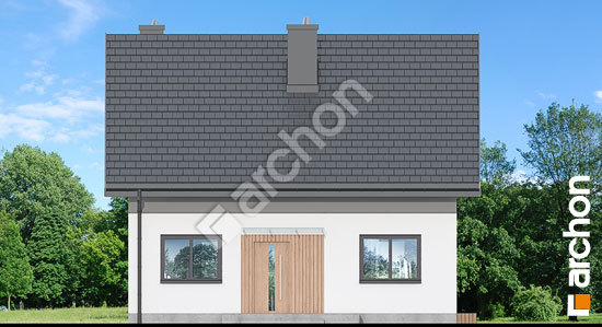 Передний фасад Дом в хлорофитуме 23