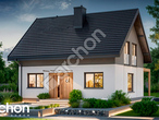 Проєкт будинку ARCHON+ Будинок в хлорофітумі 23 стилізація 3