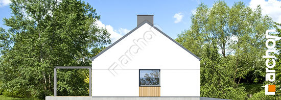 Бочний фасад Будинок в страусоперах