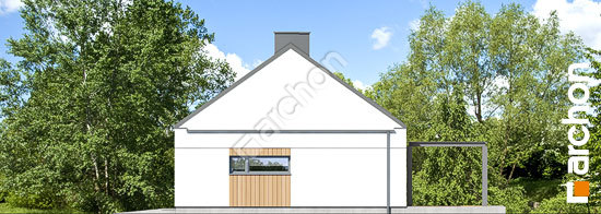 Бочний фасад Будинок в страусоперах