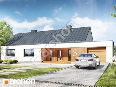 Проєкт будинку ARCHON+ Будинок в страусоперах 