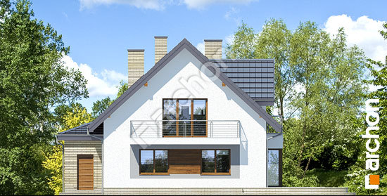 Дворовий фасад Будинок в очанці (Г2Н)