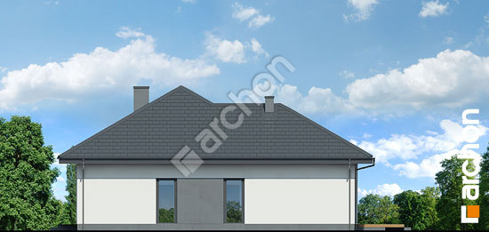 Бочний фасад Будинок в підсніжниках 4