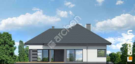 Боковой фасад Дом в подснежниках 4