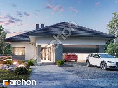 Проєкт будинку ARCHON+ Будинок в нігеллах 3 (Г2) 