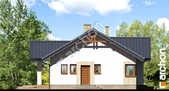 Бочний фасад Будинок в лещиновнику (Т)