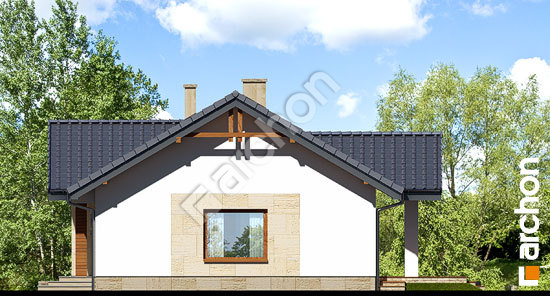 Боковой фасад Дом в лещиновнике (Т)