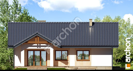 Дворовий фасад Будинок в лещиновнику (Т)