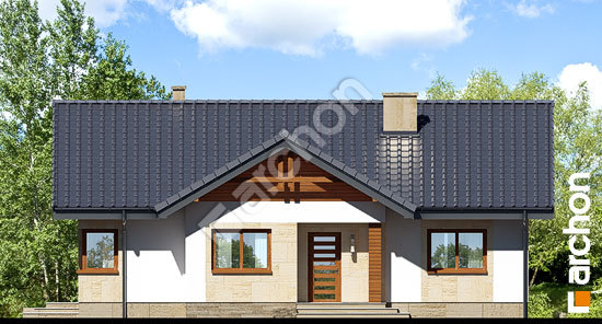 Передній фасад Будинок в лещиновнику (Т)