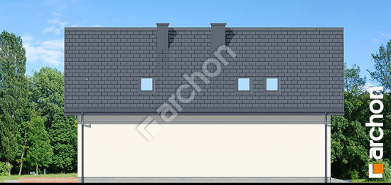 Бочний фасад Будинок в ліголях 2