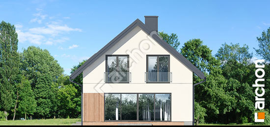 Дворовий фасад Будинок в ліголях 2