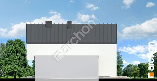 Бочний фасад Будинок в мускатах (Б)