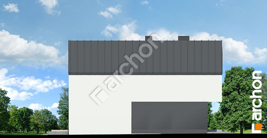 Бочний фасад Будинок в мускатах (Б)