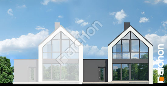 Дворовий фасад Будинок в мускатах (Б)