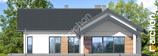 Бочний фасад Будинок в галах 6