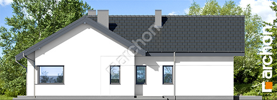 Бочний фасад Будинок в галах 6