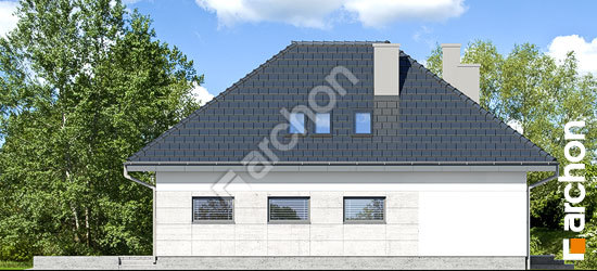 Бочний фасад Будинок під горобиною звичайною