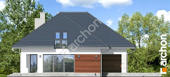 Боковой фасад Дом под рябиной обыкновенной