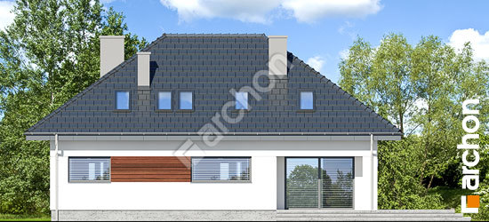 Дворовий фасад Будинок під горобиною звичайною