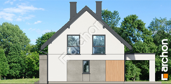 Бочний фасад Будинок в дикому винограді 3