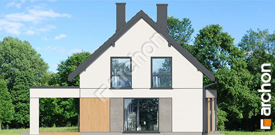 Бочний фасад Будинок в дикому винограді 3