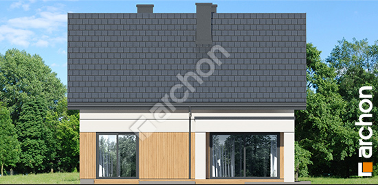 Дворовий фасад Будинок в дикому винограді 3