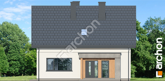 Передній фасад Будинок в дикому винограді 3