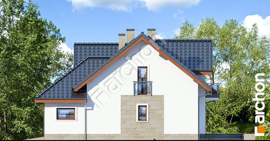 Боковой фасад Дом в кортландах (Г2П)