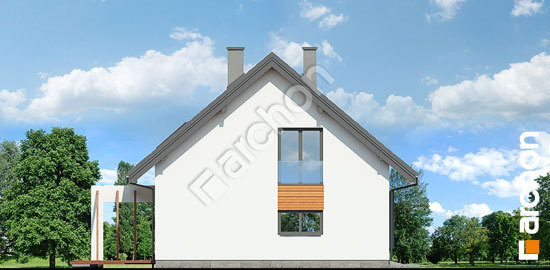 Боковой фасад Дом в дицентрах