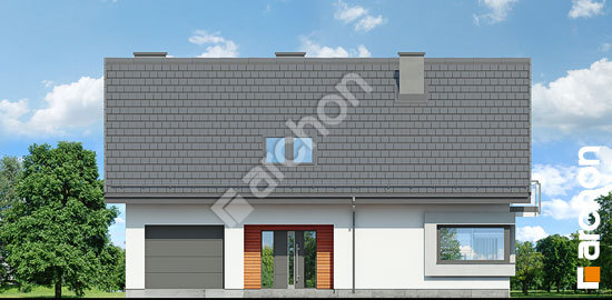 Передний фасад Дом в дицентрах