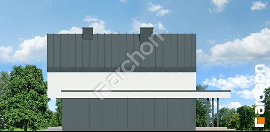 Боковой фасад Дом в мускатах 3