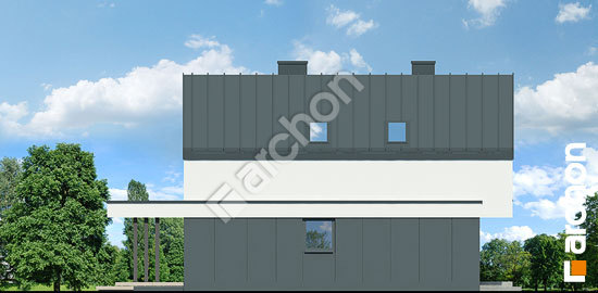 Боковой фасад Дом в мускатах 3