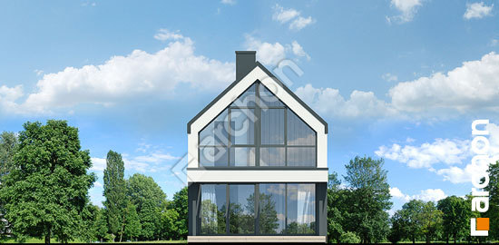 Дворовий фасад Будинок в мускатах 3