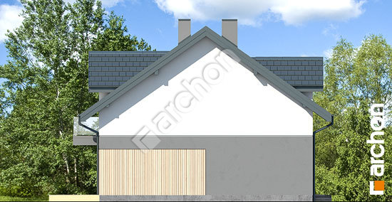 Бочний фасад Будинок в клематисах 2