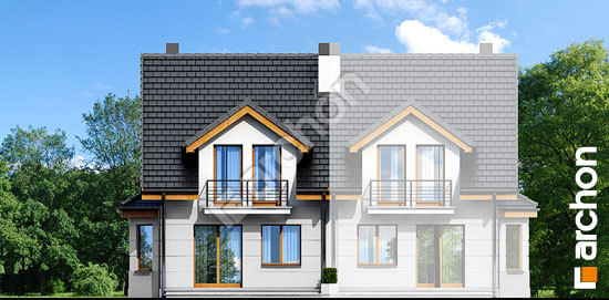 Дворовой фасад Дом под гинко 2 вер.2