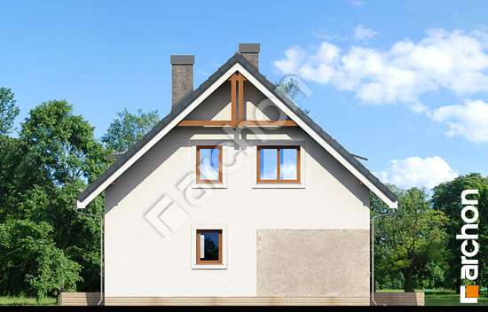 Боковой фасад Дом в деванне вер.2