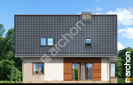 Дворовий фасад Будинок в деванні вер. 2